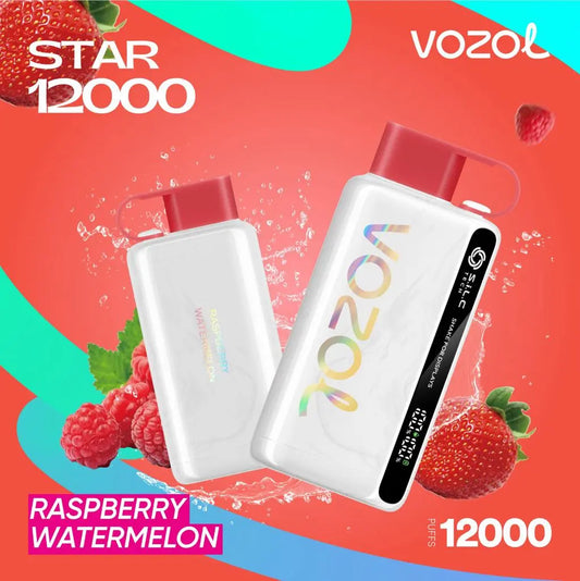 Vozol Star 12000 Puffs Disposable Vape in UAE