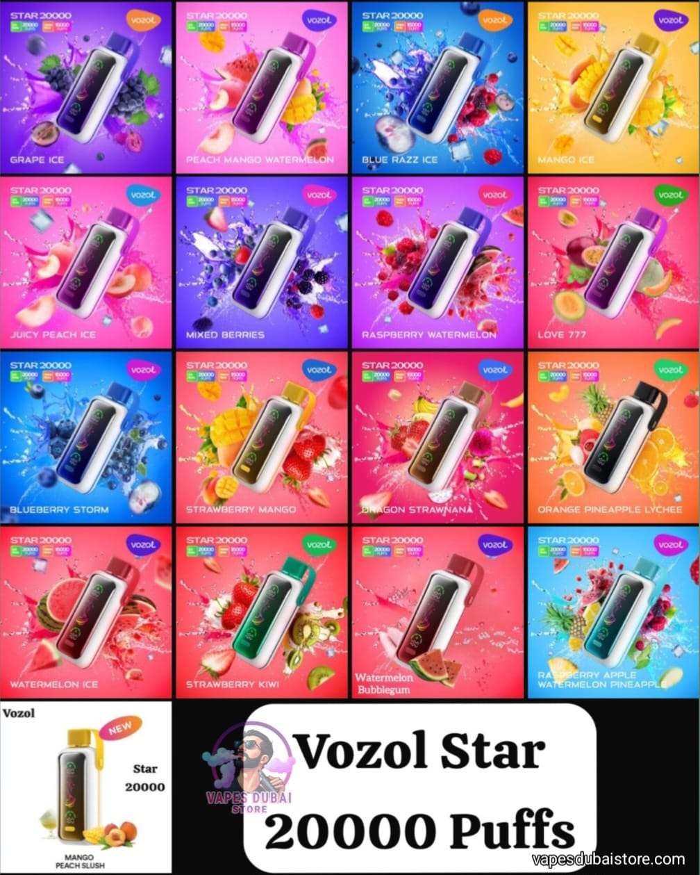 Vozol Star 20000 Puffs 5% Rechargeable Disposable Vape in Dubai