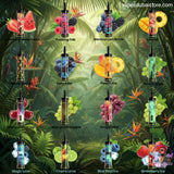 MFU SHISHA X2 Hookah 60000 Puffs Disposable Vape In DUBAI