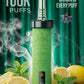 XTRA SULTAN 100K Puffs DTL Shisha 2mg Disposable Vape in UAE