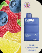 FUMMO Magnum 8000 Puffs 20mg Disposable Vape In UAE